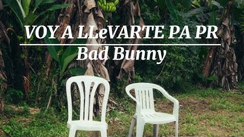 Voy a llevarte Pa PR| Bad Bunny| 1 hora