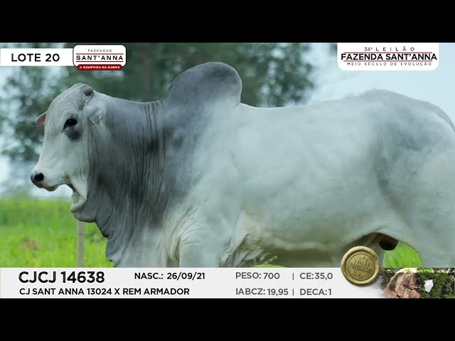 LOTE 20