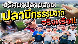 ปริศนาปลายสาย ใช่ปลาบึกไหม ??