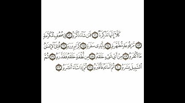 سورة عبس 2 القسم الثاني تكرار كيفي من .. كلا إنها تذكرة .. إلى .. أنشره