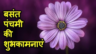 Happy Basant Panchami 2023 Whatsapp Status video download, images, status, wishes, photos, wallpaper