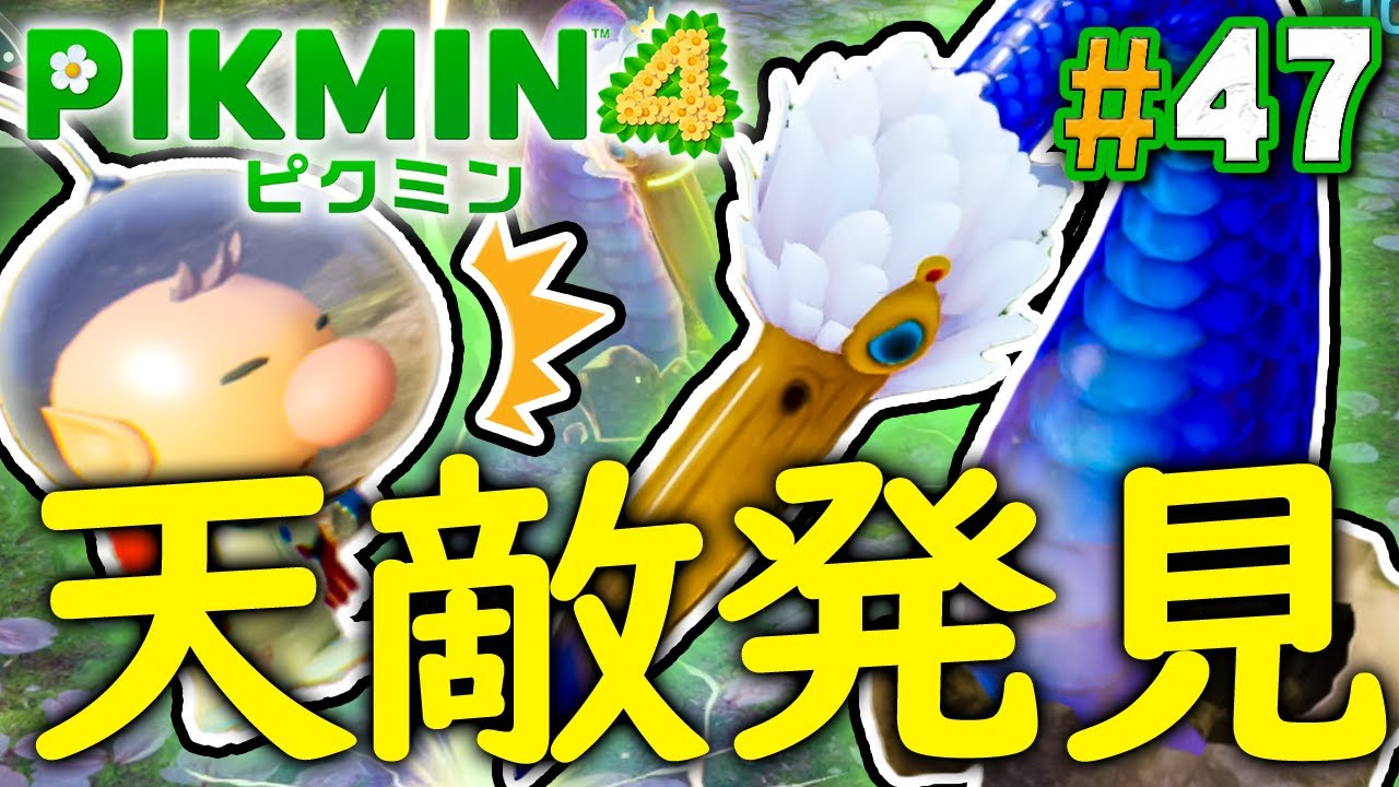 【オリマー遭難記#6】ヘビガラスめ！お前をやっつけてやる！『ピクミン4』を実況プレイ part47【PIKMIN4】