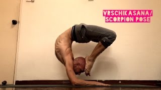 Vrschikasana/Scorpion Pose