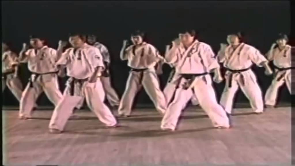 Gedan-baray Oyama-karate camera iphone 8 plus apk
