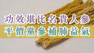 養生Talk功效堪比名貴人參 平價黨參補肺益氣