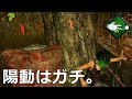 【DbD】陽動とかいうただのガチパーク【配信録画】 の動画、YouTube動画。