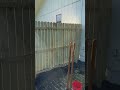 Exterior gate replacement and fence panel perfect swing and close on resident property 