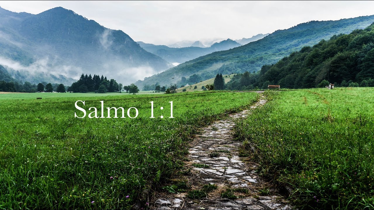 camera iphone 8 plus apk 20171021 IBEV Salmo1