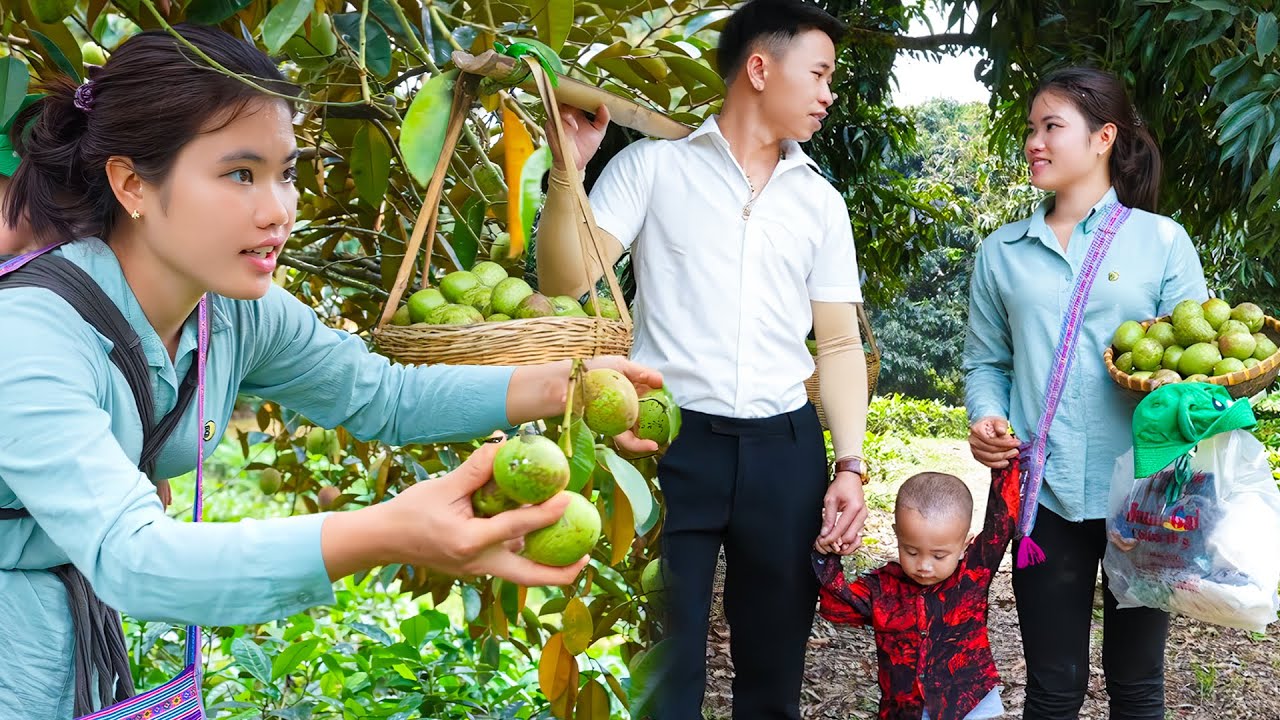 Harvesting Star Apples and Caring for the Farm with CEO Hung – Grateful for His Love and Time