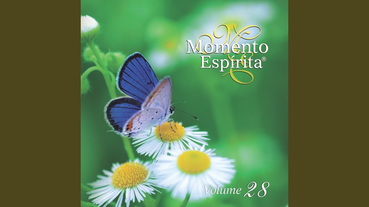 A arte da imperfeição