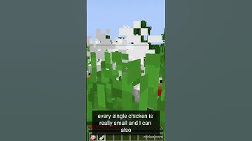 Pehkui SIZE MOD! #minecraft #pehkui #moddedminecraft