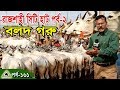 Krishi161কৃষিচিত্র/সর্ববৃহৎগরুর হাট, রাজশাহী সিটি হাট।Country's largest cattle market, Rajshahi