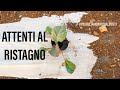 Caldo e Irrigazione Attenti non saturare il terreno