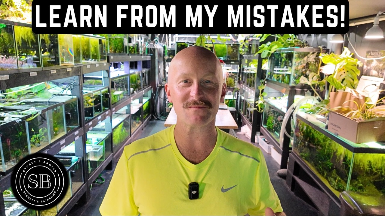 5 THINGS I WISH I KNEW BEFORE BUILDING MY FISH ROOM