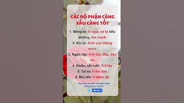 Các bộ phận càng xấu càng tốt | Bác Sĩ Hội