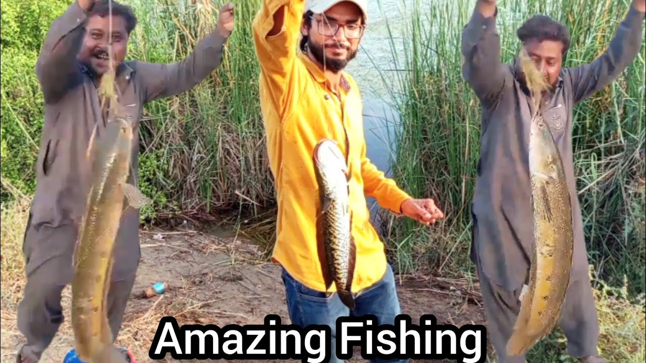 Bawan Shah || Shahpor || Fishing point || Bass Fishing videos || 18 Aug 2k25