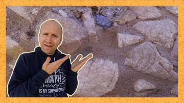 29. Sedimentary Rocks