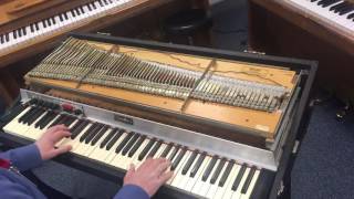 Fender Rhodes Demo Net Worth