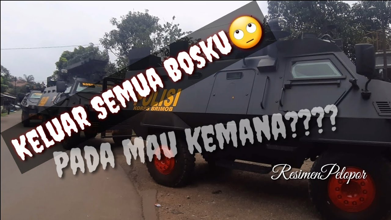 KELUAR SEMUA..Pada Mau kemana???? - YouTube