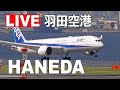 [LIVE] 羽田空港 ライブカメラ (10月8日PM) - Haneda Airport Live on October 8, 2022