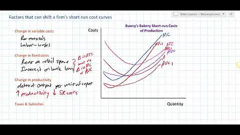 Factors that can Shift a Firm's Short run Costs of Production