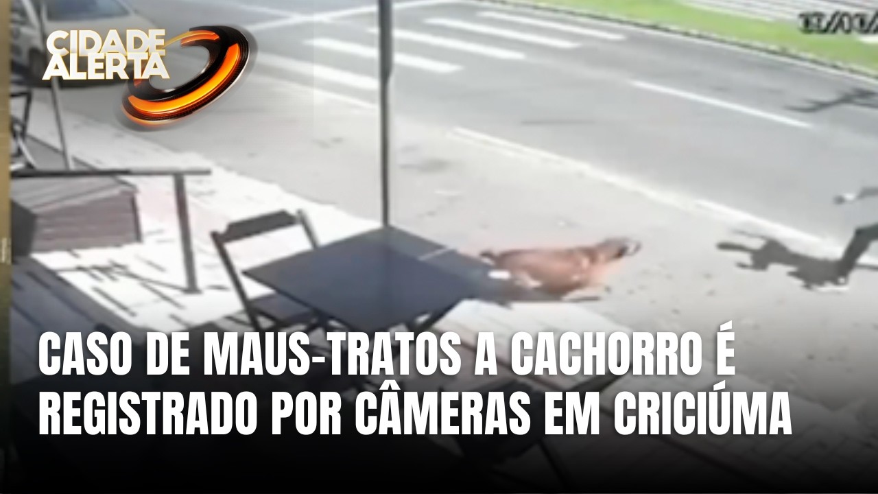 Câmeras mostram homem agredindo cachorro e caso repercute em Criciúma