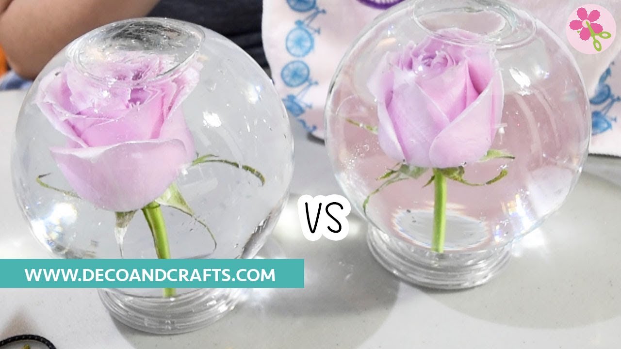 Flor en esfera de Cristal ¿Cuál duró más?| DecoAndCrafts