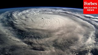 With Only '5%' Of Helene Debris Cleared, Florida Faces Potential Catastrophe In Hurricane Milton