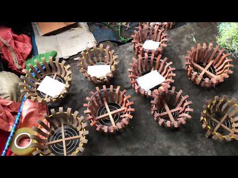 LAN RỪNG 16/3. CHẬU GỖ NHÃN TRỒNG LAN. HÀ THỦ Ô ĐỎ. LH 0981515269 vs 0345137096