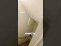 Homes in Japan are not meant for larger people