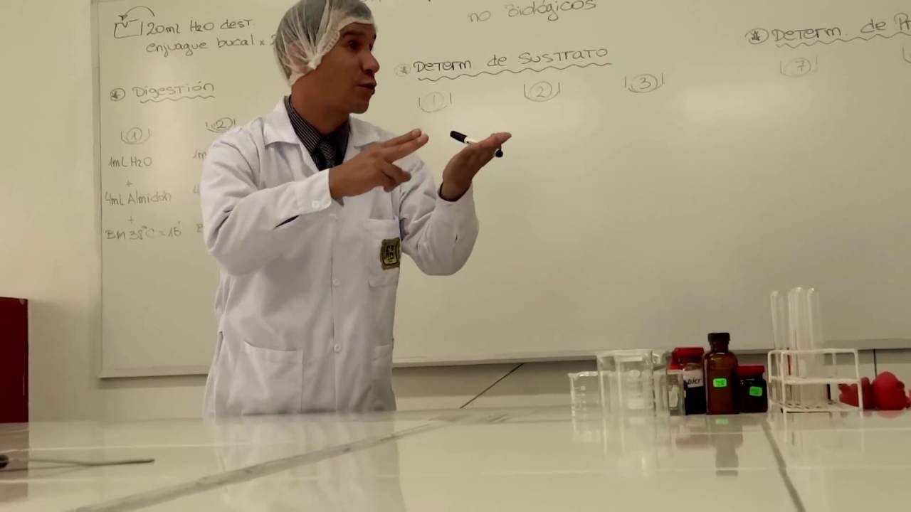 accion comparativa de enzimas parte 1