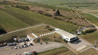 Leo Hillinger Image Film German Version