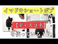 イマドキショートボブは【ディスコネ】を使っている!?
