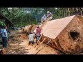 Dangerous Biggest Wood Sawmill Machine Working - Extreme Fastest Chainsaw Cutting Large Tree Easy