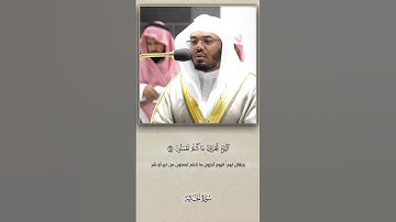 " وَتَرى كُلَّ أُمَّةٍ جاثِيَةً "تلاوة خاشعة بالأداء الشهير من سورة الجاثية#ياسر_الدوسري