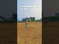 wait for swich hit six #cricket #cricketlover #youtubeshorts #trending #support #newyoutuber