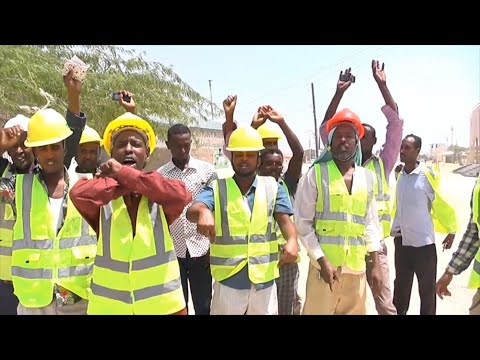 Berbera: Shaqaale Cabanaya + Sababta.