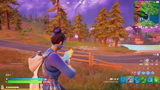 Fortnite Caretaker Vs Npc
