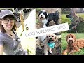 WAG! DOG WALKING: Tips & Tricks