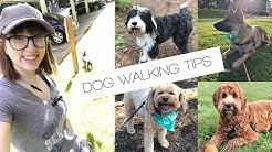 WAG! DOG WALKING: Tips & Tricks