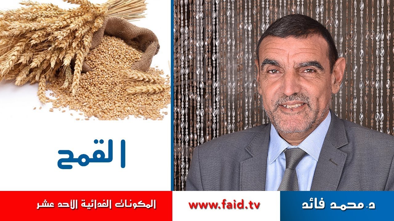Dr faid |القمح | النشويات |  المكونات الغذائية الأحد عشر | الدكتور محمد فائد .