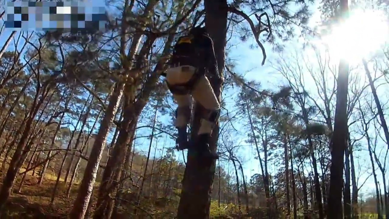 Tree climb practice/ learning how to trust my gear
