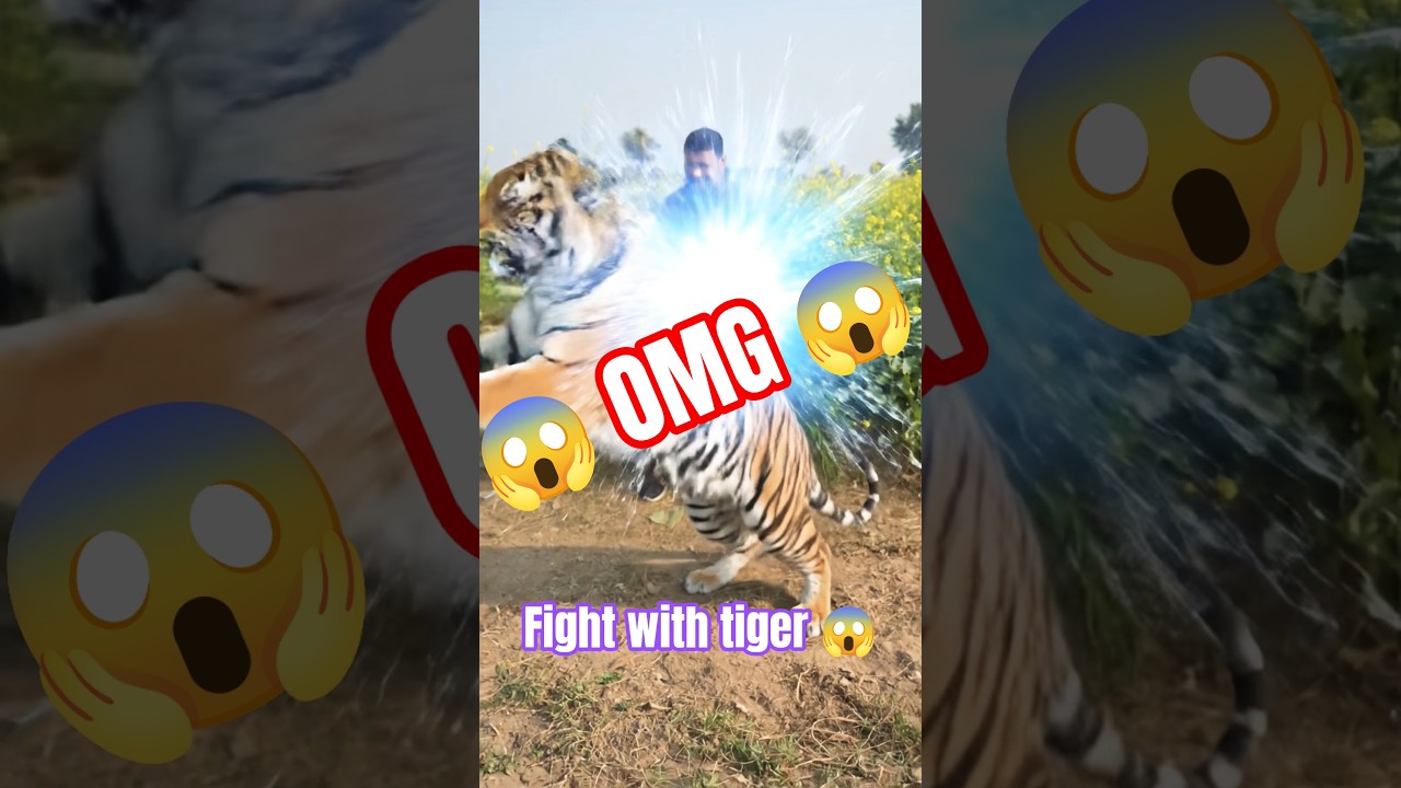 AI Magic 😲 Tiger Fight | Epic Fantasy Battle