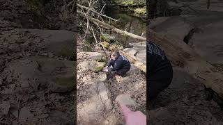 Sticker Ricketts Glen State Park Pa