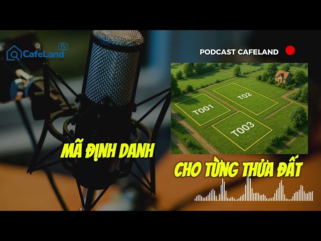 Cấp 