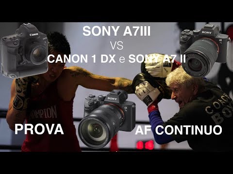 AF CONTINUO SONY A7 III Vs CANON 1 DX Vs SONY A7 II