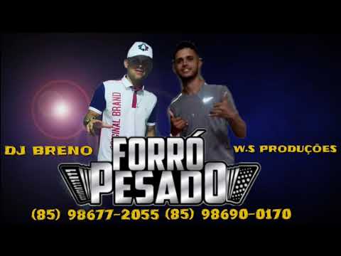 FORRÓ PESADO》Banda Paixão De Favela { Vacilão }