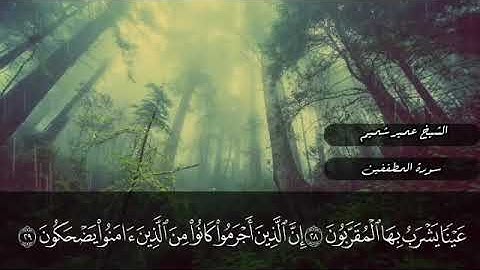 الشيخ عمير شميم ماتيسر من سورة المطففين 😴🖤.