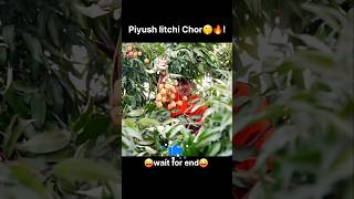 Piyush Litchi Chor🤫🔥! || Sourav Joshi Vlogs || #shorts #youtubeshorts