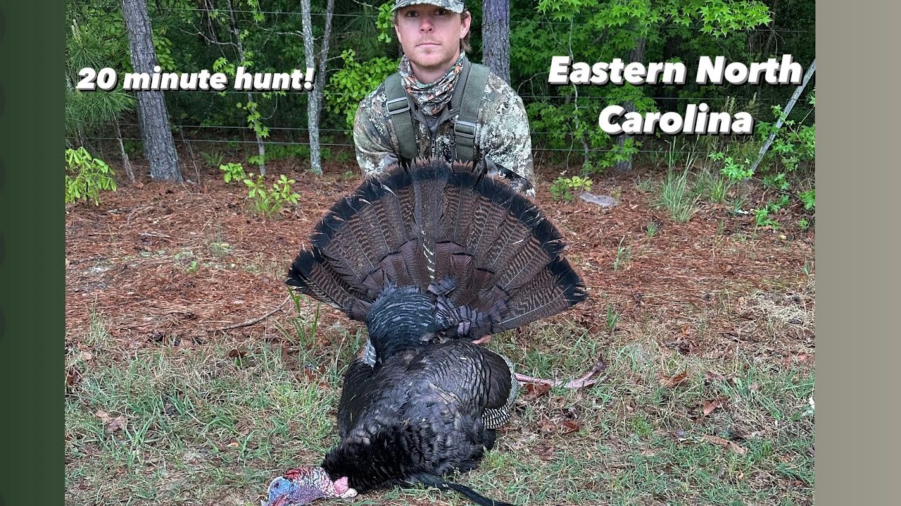 Hunting Turkeys in the rain! Eastern North Carolina YouTube